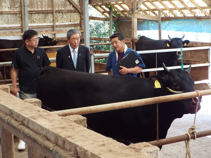 10/11～10/12 福沢地区ミニ国政報告会etcの写真