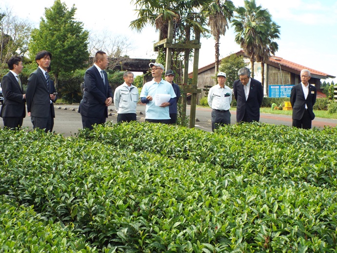 10/25～10/26 茶生産者視察etcの写真