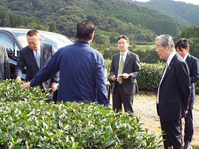 茶生産者視察　肝属・曽於地区の写真