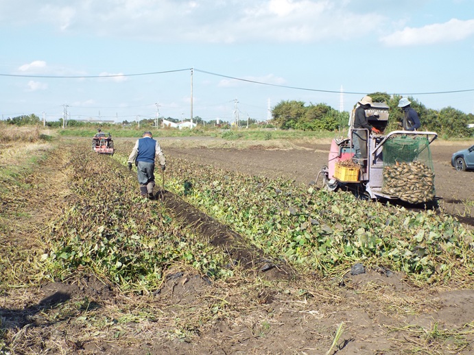 自民党野菜・果樹・畑作物対策委員会視察・意見交換会の写真