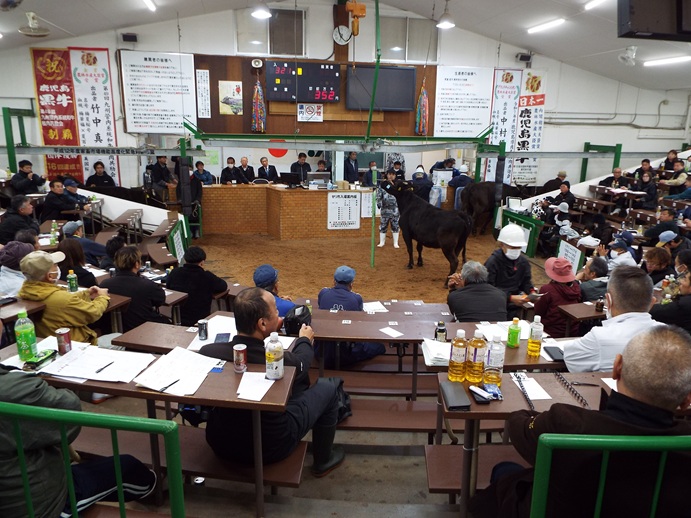 姶良中央成牛競り市　視察の写真