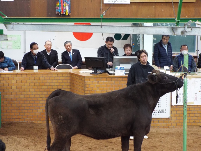 姶良中央成牛競り市　視察の写真