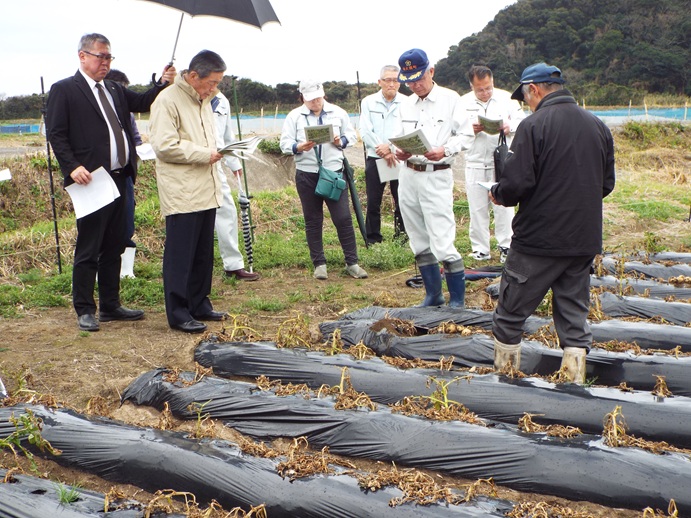 視察(ばれいしょ霜被害現場)の写真